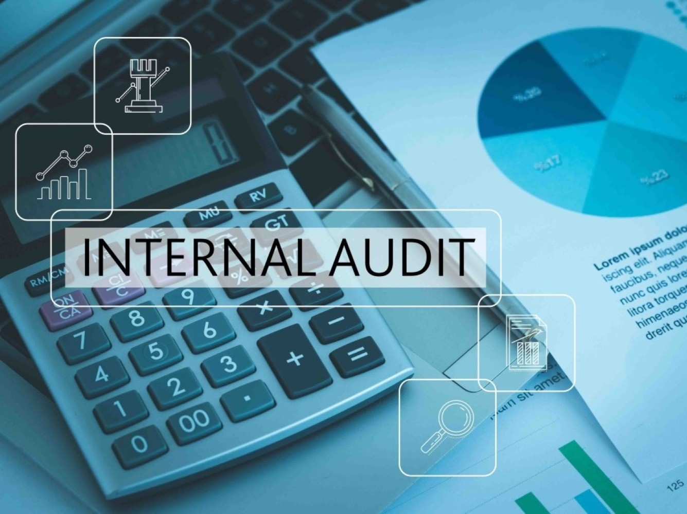 Internal Audit 1